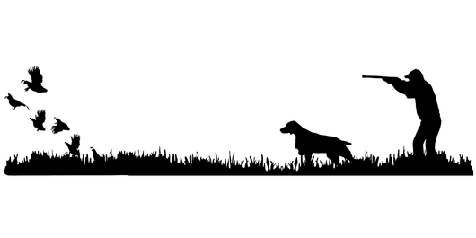 Brittany Bird Dog, Quail Rise Upland Hunting Scene Decal