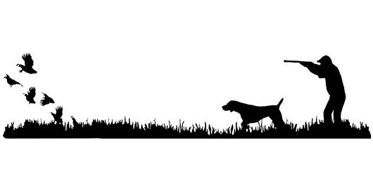 German Shorthair Pointer Bird Dog, Quail Rise Upland Hunting Scene Decal