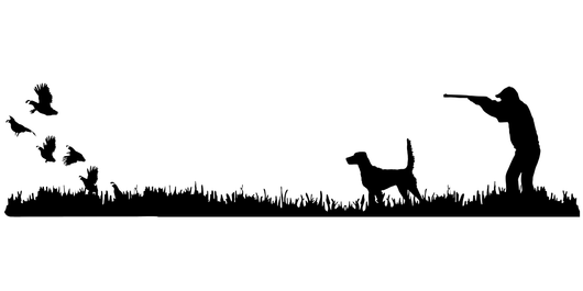 English Setter (high tail) Bird Dog, Quail Rise Upland Hunting Scene Decal