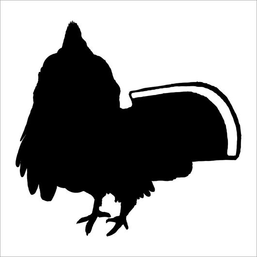 Ruffed Grouse Standing Strutter, Ruffed Grouse Hunting Decal