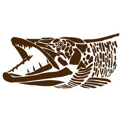Muskie Head, Graphic Style Esox Fishing Decal