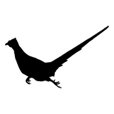 Running Rooster Pheasant Silhouette, Pheasant Hunting Decal