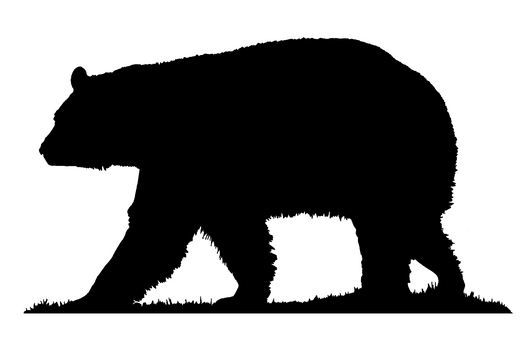 Black Bear Big Game Hunting Outdoor Decal